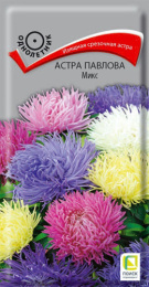 Астра Павлова микс 0,3г цветной пакет Поиск