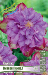 Клематис Вивиан Пеннел 2шт. Colorline