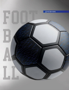 Дневник для старших классов твердая обложка Футбольный мяч Д48-9570