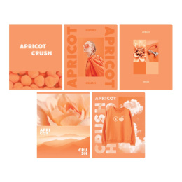 Тетрадь  48 листов BG Apricot Т5СК48_ЛМ 12721