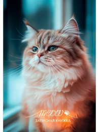 Книжка записная А6  48 листов Фото котика 1, книжный переплет 48-9197
