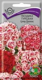 Гвоздика турецкая (бородатая) Супер Дуплекс 0,3г цветной пакет Поиск