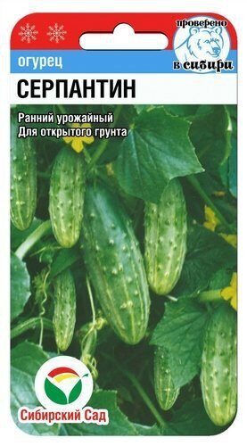 Огурец Серпантин 10шт. цветной пакет Сибирский сад
