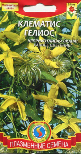 Клематис Гелиос 10шт. цветной пакет Плазменные семена