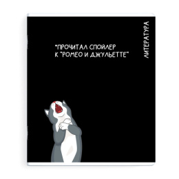 Тетрадь  48 листов П Литература Коты мемы 69832