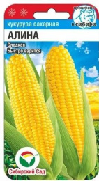 Кукуруза сахарная Алина 6шт. цветной пакет Сибирский сад