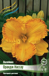 Лилейник Орандж Нассау 1шт. Colorline