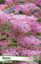 Лабазник Кахоме 1шт. Colorline