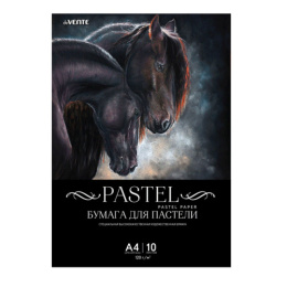 Папка для пастели А4 10 листов Devente, 120г/м2, черный 2132900