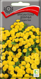 Хризантема Голден бол девичья 0,05 цветной пакет Поиск