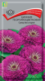 Цинния Супер йога парпл георгиноцветковая 0,4г цветной пакет Поиск