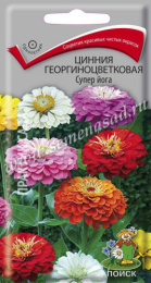 Цинния Супер йога георгиноцветковая 0,4г цветной пакет Поиск