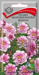 Космея Махровая кнопка Двуцветная 0,1г цветной пакет Поиск