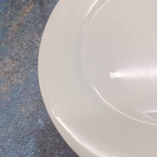 Тарелка фарфоровая мелкая 250мм белый Радужный Дом РД85066