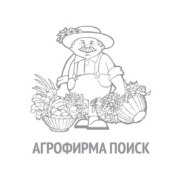 Капуста цветная Дачница 0,5г белый пакет Поиск