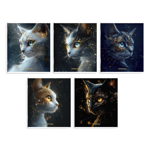 Тетрадь  48 листов Астральные коты 68574