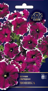 Петуния Моника F1 10шт. цветной пакет Седек