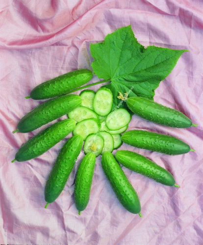 Огурец Амур F1 10шт. цветной пакет Манул