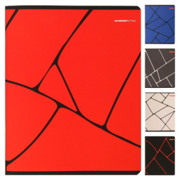 Тетрадь  96 листов Линии 14164/5