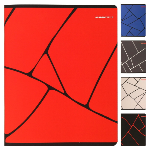 Тетрадь  96 листов Линии 14164/5