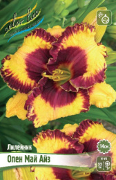 Лилейник Опен Май Айз 1шт. Colorline