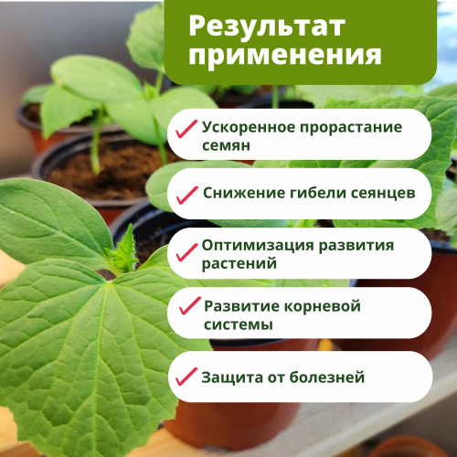 Биогумат для рассады 10мл БиоМастер