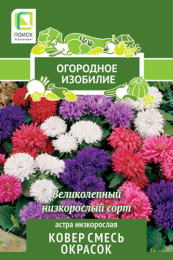 Астра Ковер смесь окрасок низкорослая 0,2г цветной пакет серия Огородное изобилие Поиск
