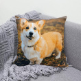 Подушка 40х40см габардин, поплин Корги ДомВелл 