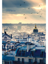 Книжка записная А4  80 листов Птицы над городом, книжный переплет Б80-0856