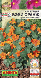 Настурция Бэби оранж суперкомпактная 4шт. цветной пакет Аэлита