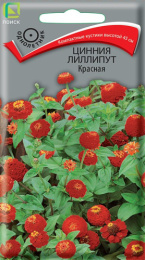 Цинния Лиллипут красная 0,4г цветной пакет Поиск