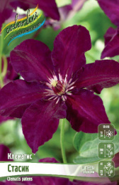 Клематис Стасик 2шт. Colorline