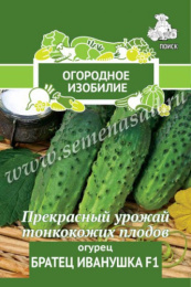 Огурец Братец Иванушка F1 0,5г цветной пакет серия Огородное изобилие Поиск