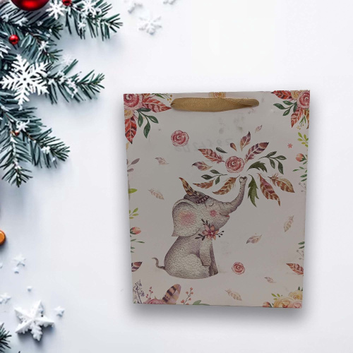 Пакет подарочный бумажный 26х32х10см ламинированный Радужный Дом РД21362