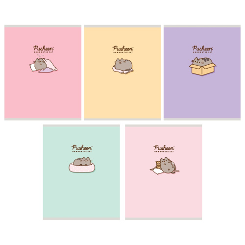 Тетрадь  48 листов Pusheen PS22/5