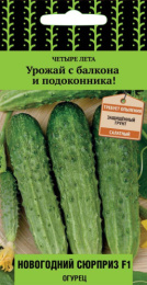 Огурец Новогодний сюрприз F1 12шт. цветной пакет серия Четыре лета Поиск