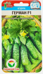 Огурец Герман F1  5шт. цветной пакет Сибирский сад