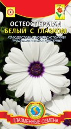 Остеоспермум Белый с глазком 4шт. цветной пакет Плазменные семена
