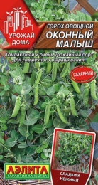 Горох Оконный малыш сахарный 10шт. цветной пакет Аэлита