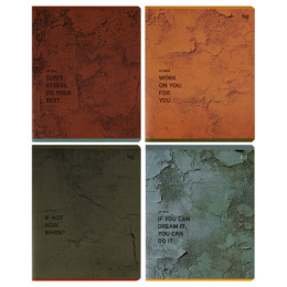 Тетрадь  48 листов BG Стена Т5СК48_Т 06758