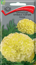 Бархатцы прямостоячие (Тагетес) Аляска 0,4г цветной пакет Поиск