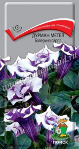 Дурман Балерина парпл 3шт. цветной пакет Поиск