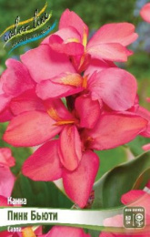 Канна Пинк Бьюти зеленый лист 1шт. Colorline