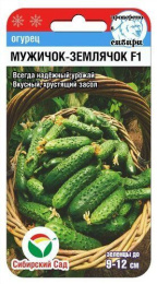 Огурец Мужичок-землячок F1 7шт. цветной пакет Сибирский сад