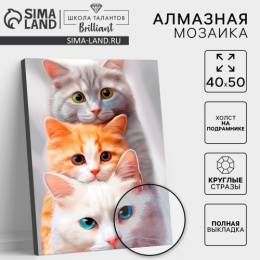 Алмазная мозаика на подрамнике 40x50см Котята (полное заполнение) Школа талантов 9929696