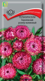 Гелихризум Королевский размер малиновый 0,1г цветной пакет Поиск