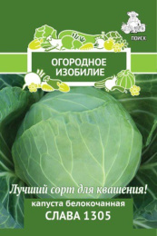 Капуста белокочанная Слава 1305  0,5г для квашения цветной пакет серия Огородное изобилие Поиск