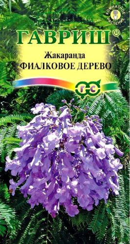 Жакаранда Фиалковое дерево 3шт. цветной пакет Гавриш