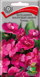 Бальзамин Афина Паллада махровый 5шт. цветной пакет Поиск