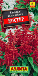 Сальвия Костер сверкающая 0,1г цветной пакет Аэлита